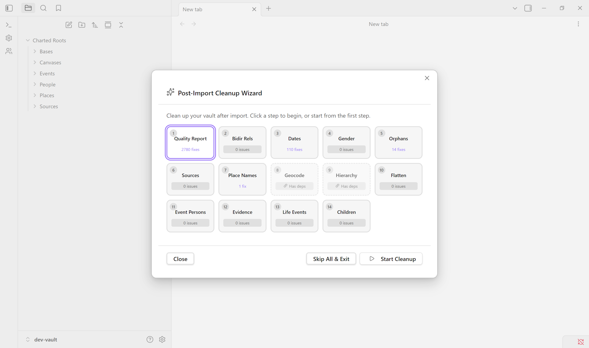 Post-import cleanup wizard overview showing 14 numbered steps with detected-issue counts
